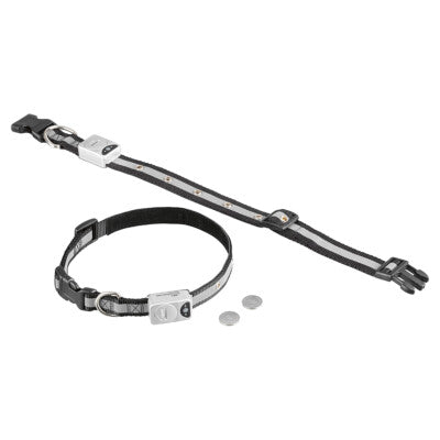 Nobby LED Blinkhalsband S 800m schwarz Nylon reflektierend Halsband Hund