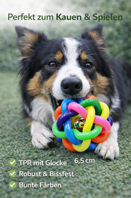 Hundespielzeug Katzenspielzeug - Ball TPR Gummi Knotenball  mit Glocke