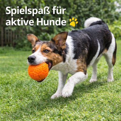 Hundespielzeug Hunde Dog Spielball Quietscher Ball Sportball  7 cm