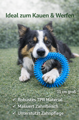 Kauspielzeug Hundespielzeug TPR Hund Dental FUN Zahnpflege Ring 11 cm