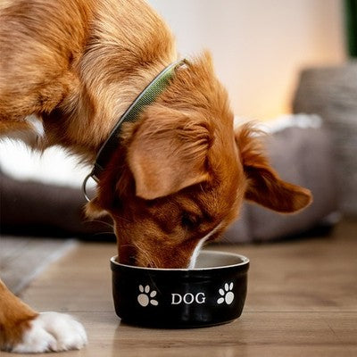 Nobby Hunde Keramiknapf schwarz/rot Dog Futternapf Fressnapf Napf Wassernapf
