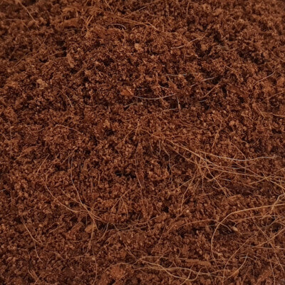 Nobby Kokoseinstreu fein 60L Kokosfaserhumus Terrariensubstrate Spinne Kokosfaser