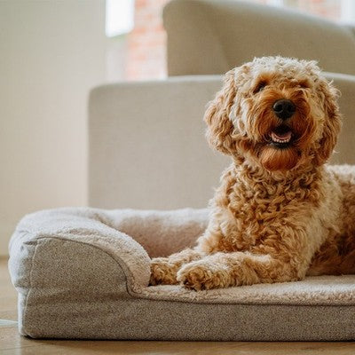 Nobby Orthopädisches Komfortsofa eckig Calbu Hundebett Kissen Hund