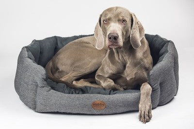 Nobby Hundebett oval Josi grau Mikrofaser waschbar Bett Kuschelbett Hund Katze