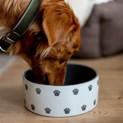 Nobby Hunde Keramiknapf Pata creme grau Futternapf Hundenapf Napf Hund Katze