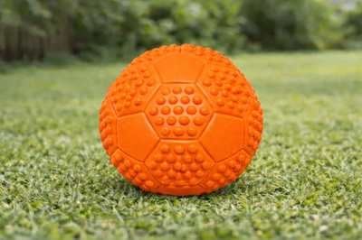 Hundespielzeug Hunde Dog Spielball Quietscher Ball Sportball  7 cm