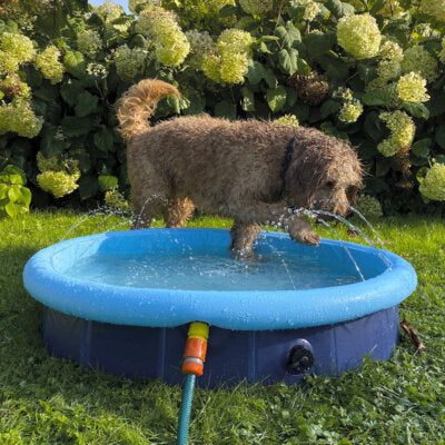 Nobby Splash Pool 2in1 für Hunde Hundepool Planschbecken Swimmingpool Pool