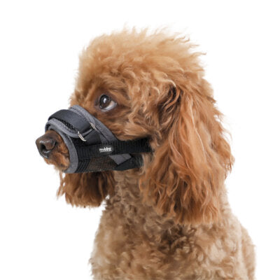 Nobby Maulkorb verstellbar Klettverschluss grau Nylon Hundemaulkorb Hund