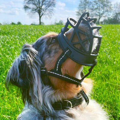 Nobby Maulkorb Comfort robust und leicht reflektierend Hundemaulkorb Hund
