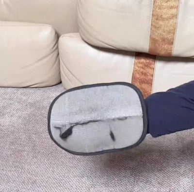 Tierhaarentferner Handschuh Haustierpflege Bürste Sofa Teppich Kleidung Fussel