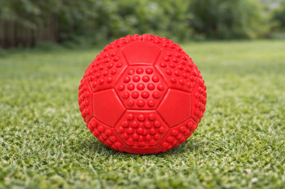 Hundespielzeug Hunde Dog Spielball Quietscher Ball Sportball  7 cm