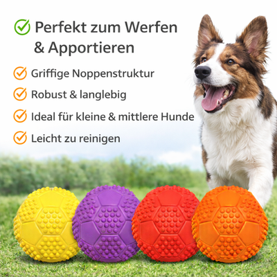 Hundespielzeug Hunde Dog Spielball Quietscher Ball Sportball  7 cm