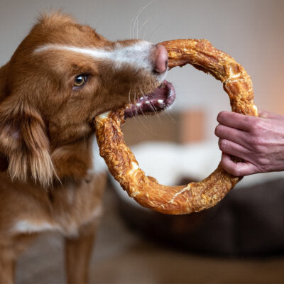Nobby StarSnack Barbecue Chicken Donut XL 220g Huhn Bagel Leckerli Snack Hund