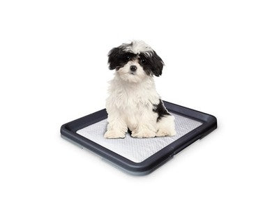 Nobby Doggy Trainer Welpentoilette auch für kranke und trächtige Hunde Hygiene