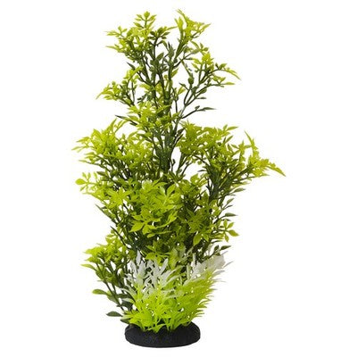 Nobby Aqua Ornaments Rotala Pflanze Aquariendekoration 7x7x27cm Süßwasser Fische