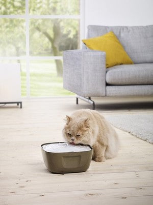 Nobby Trinkbrunnen Volcano Ersatzfilter 2,5l Wasserspender Tränke Hund Katze