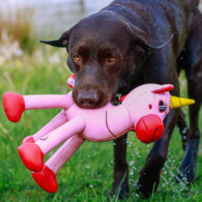 Nobby Hundespielzeug Einhorn Floating quietscht schwimmt Spielzeug Hund