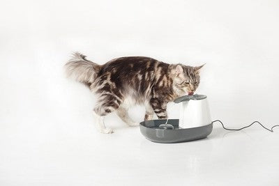 Nobby Trinkbrunnen Cascade 1,5L Wasserspender Tränke Hund Katze