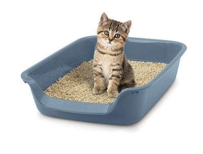 Nobby Katzentoilette Junior für Welpen Kitten alte Katzen Katzenklo Hund Katze