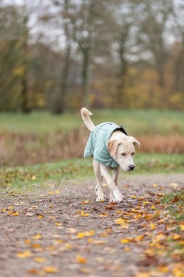 Trixie Hunde Regenmantel City Style Dublin NEU salbei wasserdicht Hund Mantel