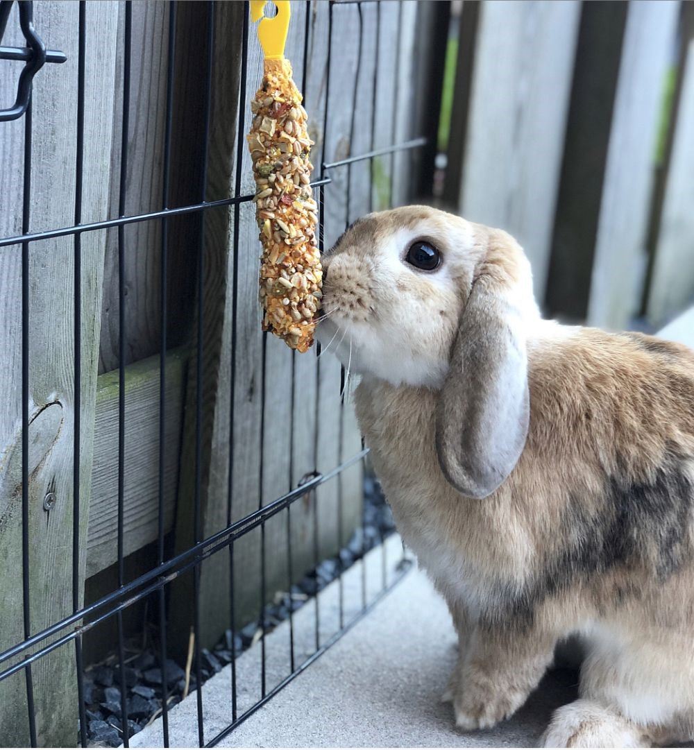 Nobby 10x Stickies Nager Frucht Nuss Gemüse Knabbersticks Nagersnack Snack