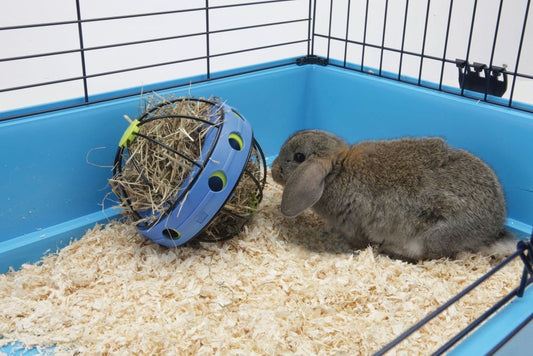 Nobby Bunny Toy für Nager Raufe Snackball Futterball Spielball befüllbar