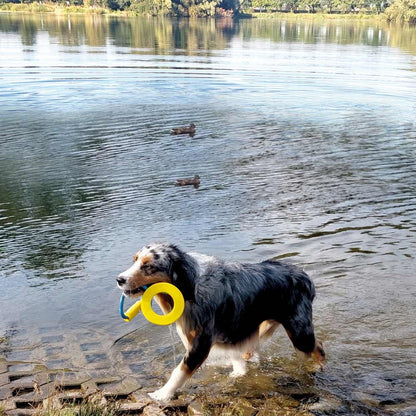 Nobby Hundespielzeug TPR Ring mit Seil und Griff robust schwimmt Hund Spielzeug