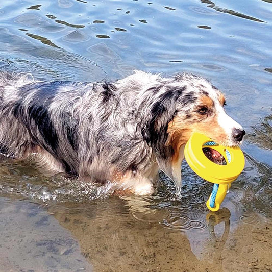 Nobby Hundespielzeug TPR Ring mit Seil und Griff robust schwimmt Hund Spielzeug