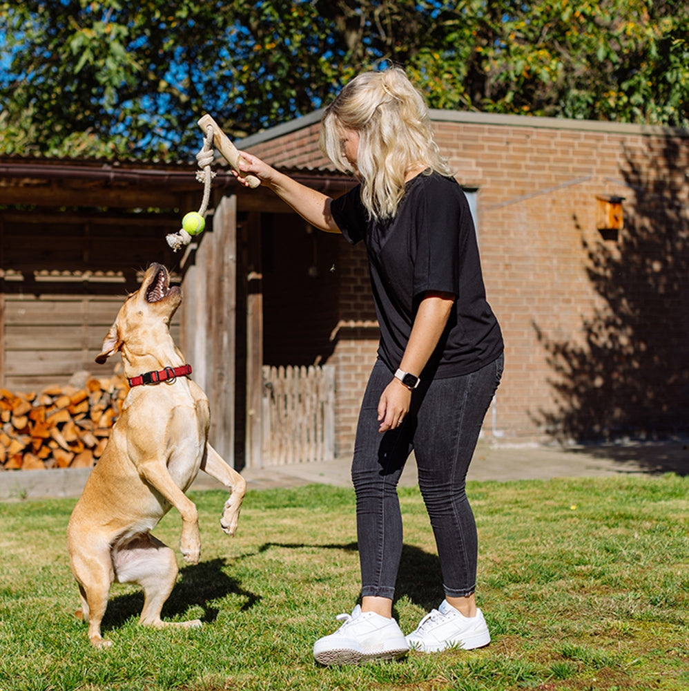 Nobby Hundespielzeug Kaffeeholz mit Seil Tau Spieltau natürlich Spielzeug Hund