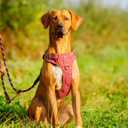 Nobby Hundegeschirr Sporty Brustgeschirr Geschirr stabil ergonomisch Hund