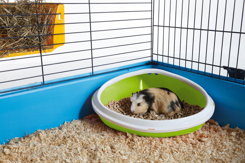 Nobby  Ecktoilette "Concha"sortiert 36 x 26,5 x 15,5 cm Nagetiere Eck WC Hamster