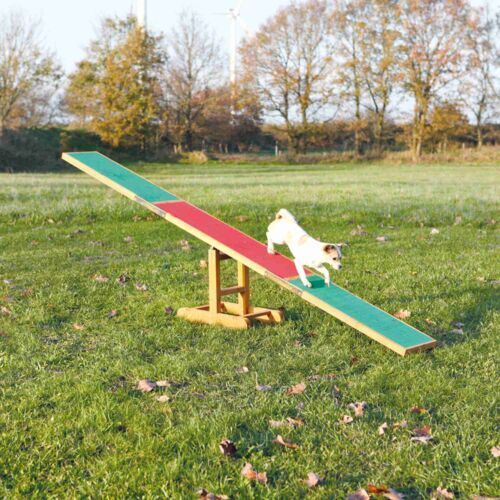 Agility Wippe aus lasiertem Kiefernholz, 300x54x34 cm bis 80 kg Tiergewicht