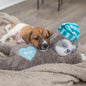 Trixie Hundespielzeug Junior Puppy Welpen Faultier Spielzeug 
