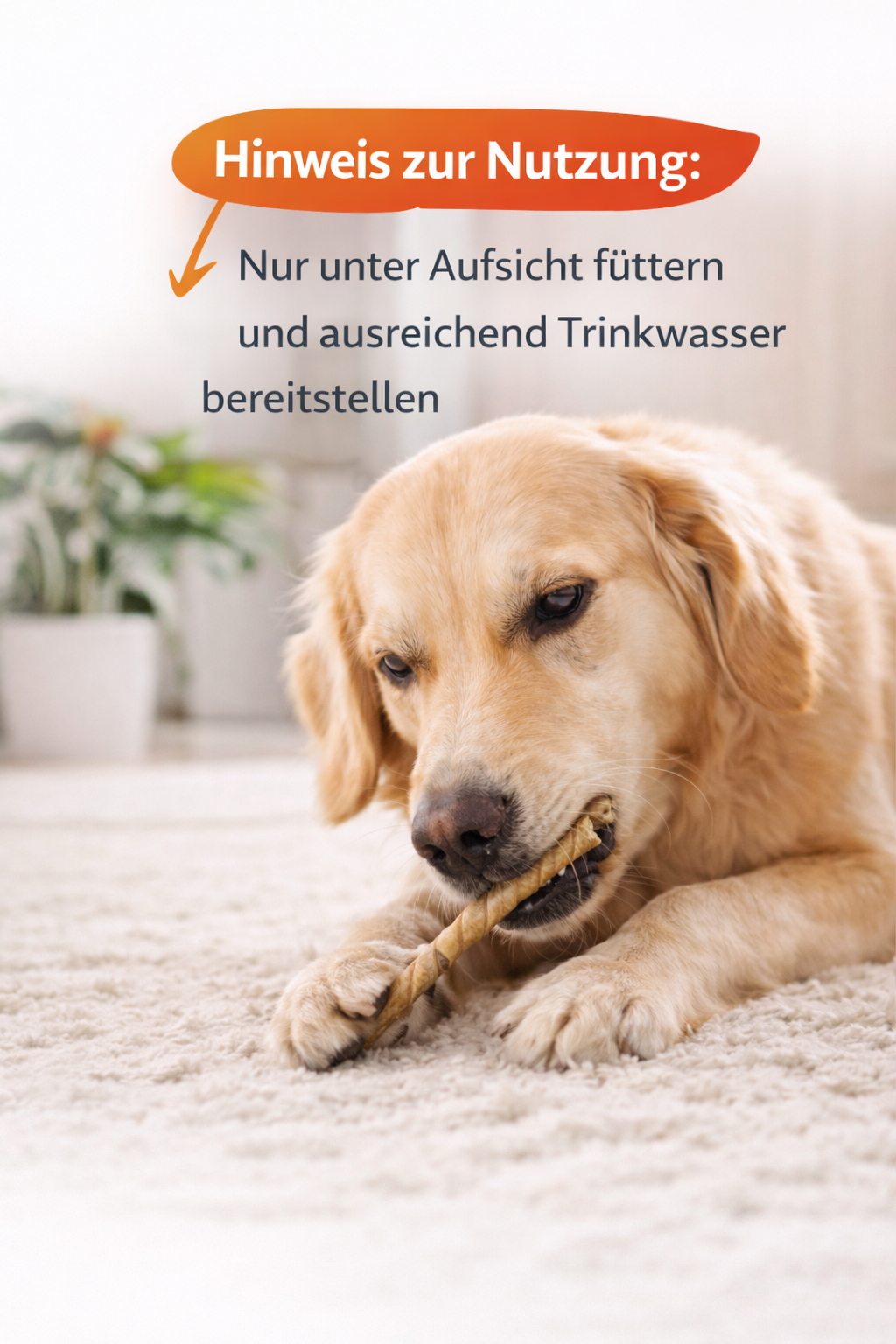 100 Stück Kaurollen gedreht Hund  Snack 13 cm 4-6 mm Kaustangen Leckerli Nobby