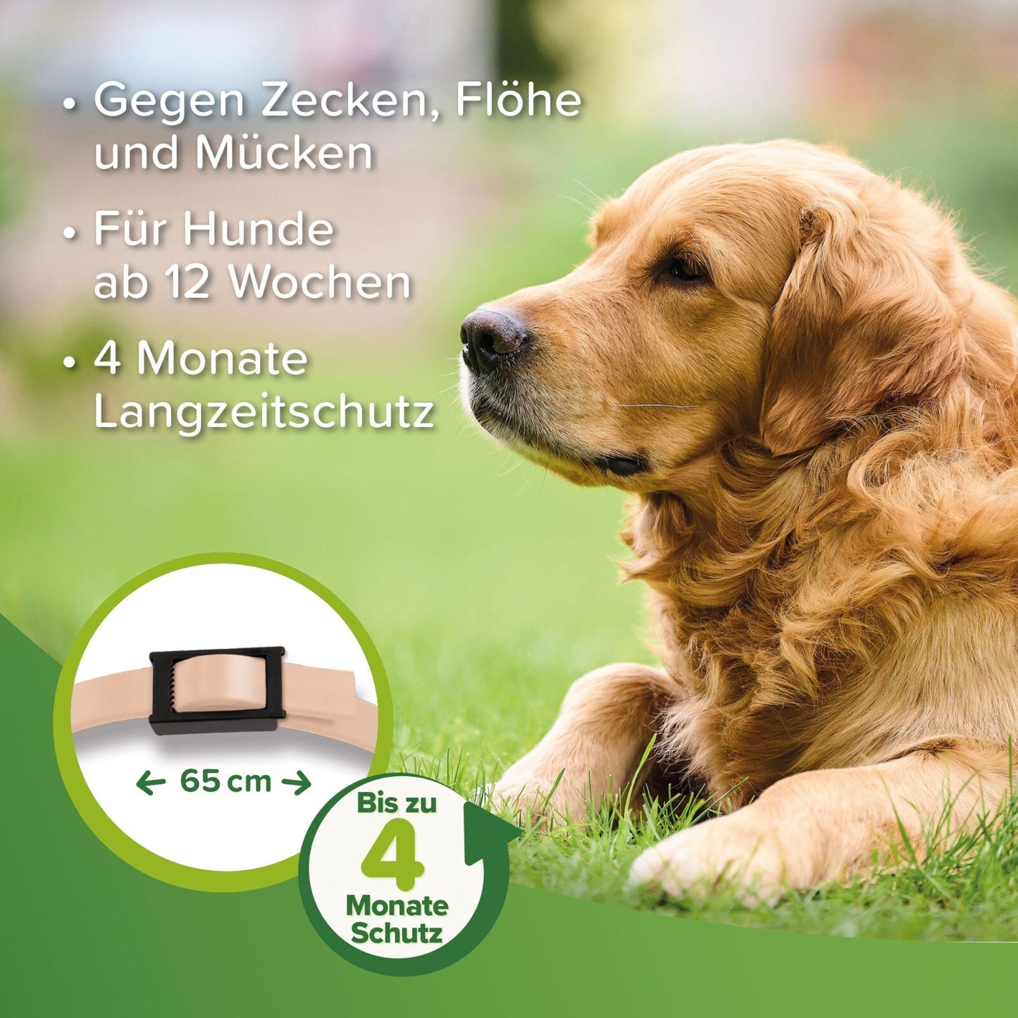 Beaphar Zecken- und Flohschutz Halsband f. Hunde 65 cm beige Ungezieferhalsband
