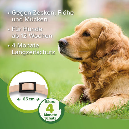 Beaphar Zecken- und Flohschutz Halsband f. Hunde 65 cm beige Ungezieferhalsband