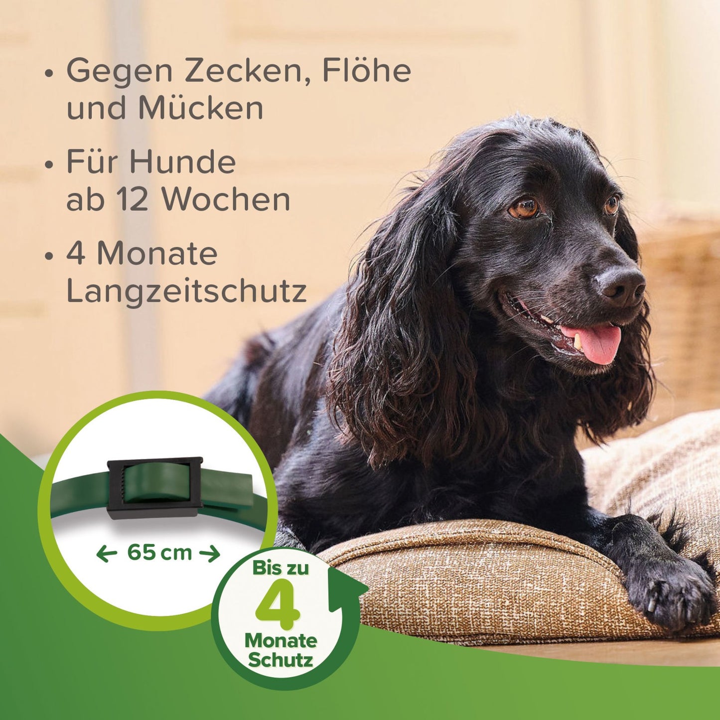 Beaphar - Zecken- und Flohschutz Halsband für Hunde 65 cm - Zeckenhalsband Flöhe