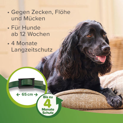 Beaphar - Zecken- und Flohschutz Halsband für Hunde 65 cm - Zeckenhalsband Flöhe