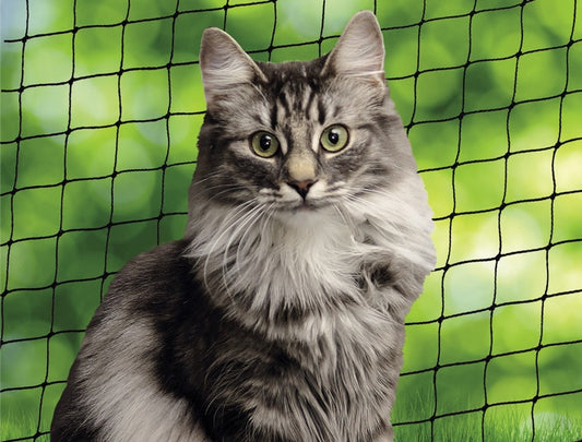 Nobby Katzenschutznetz schwarz Balkonschutznetz Katzennetz Sicherheitsnetz