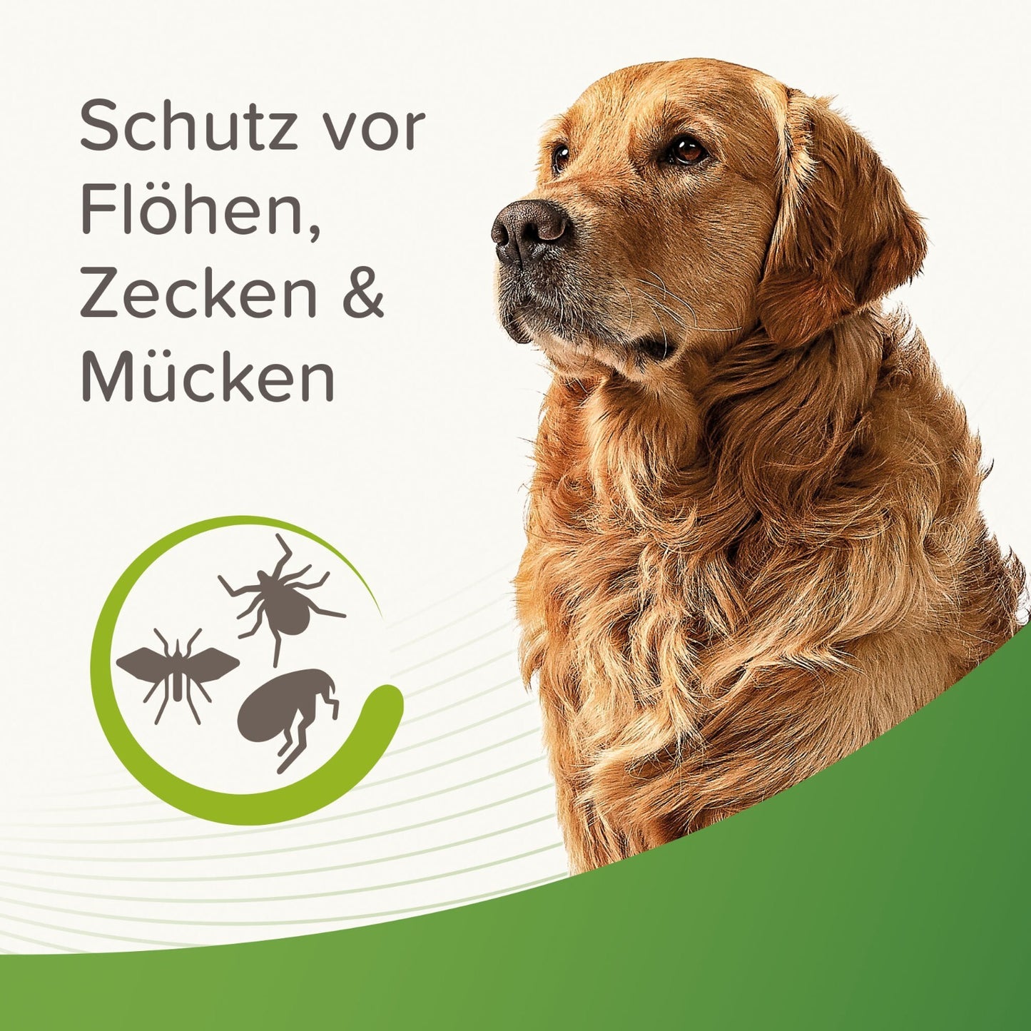 Beaphar Zecken- und Flohschutz Halsband f. Hunde 65 cm beige Ungezieferhalsband