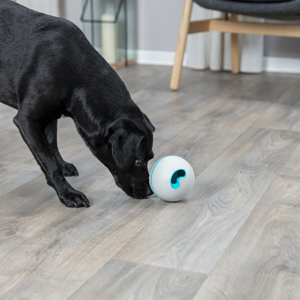 Trixie Hundespielzeug Snackball grau  11 cm Hund Dog Lekerlie spender