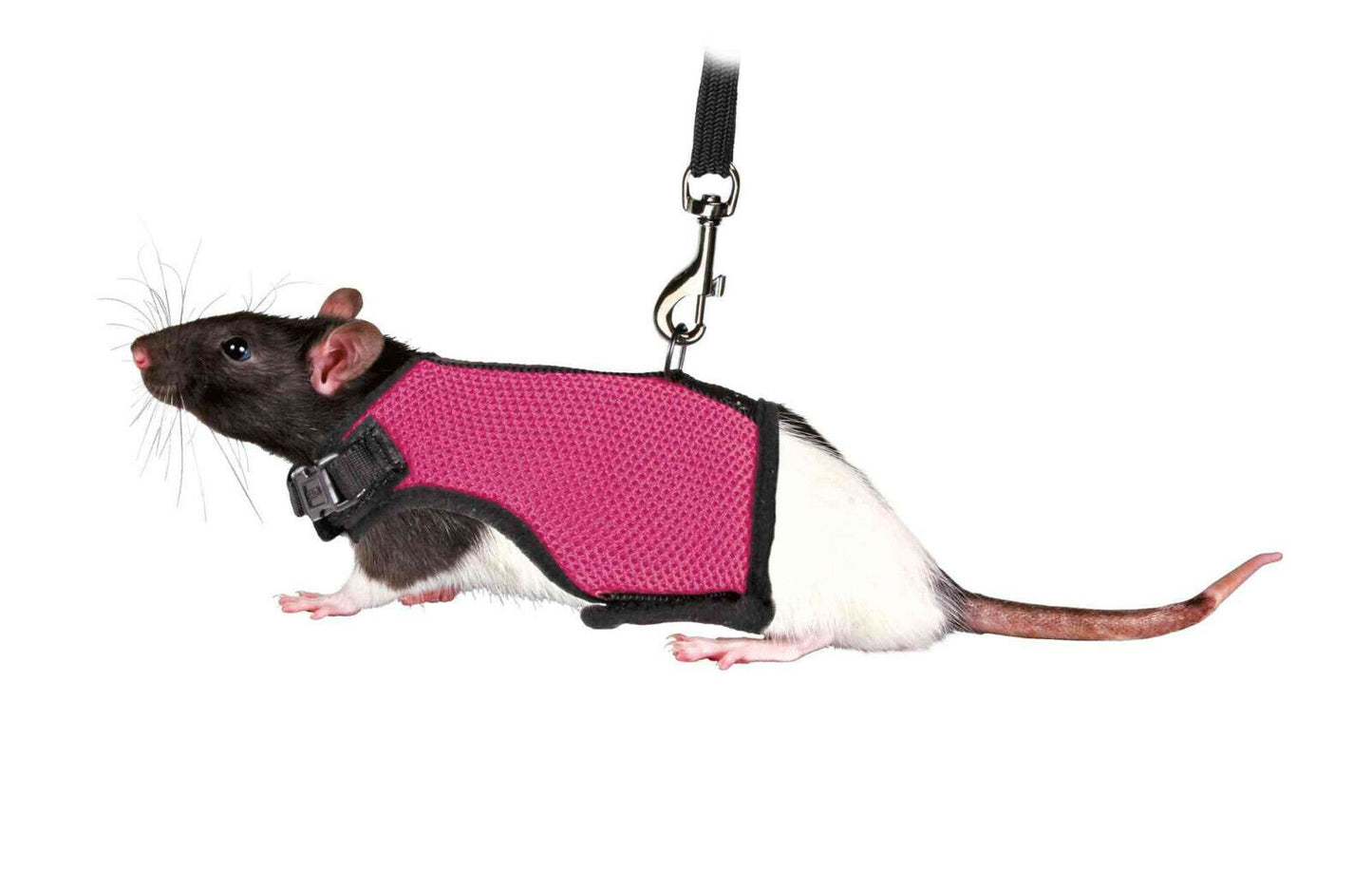 Softgeschirr mit Leine Kaninchen Nagetiere Meerschweinchen Ratte Nager Geschirr
