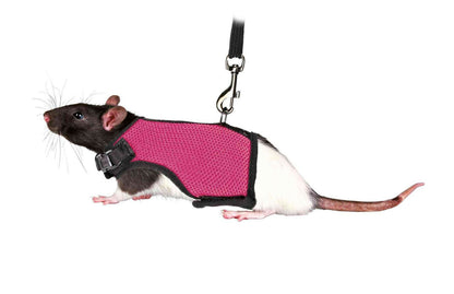 Softgeschirr mit Leine Kaninchen Nagetiere Meerschweinchen Ratte Nager Geschirr