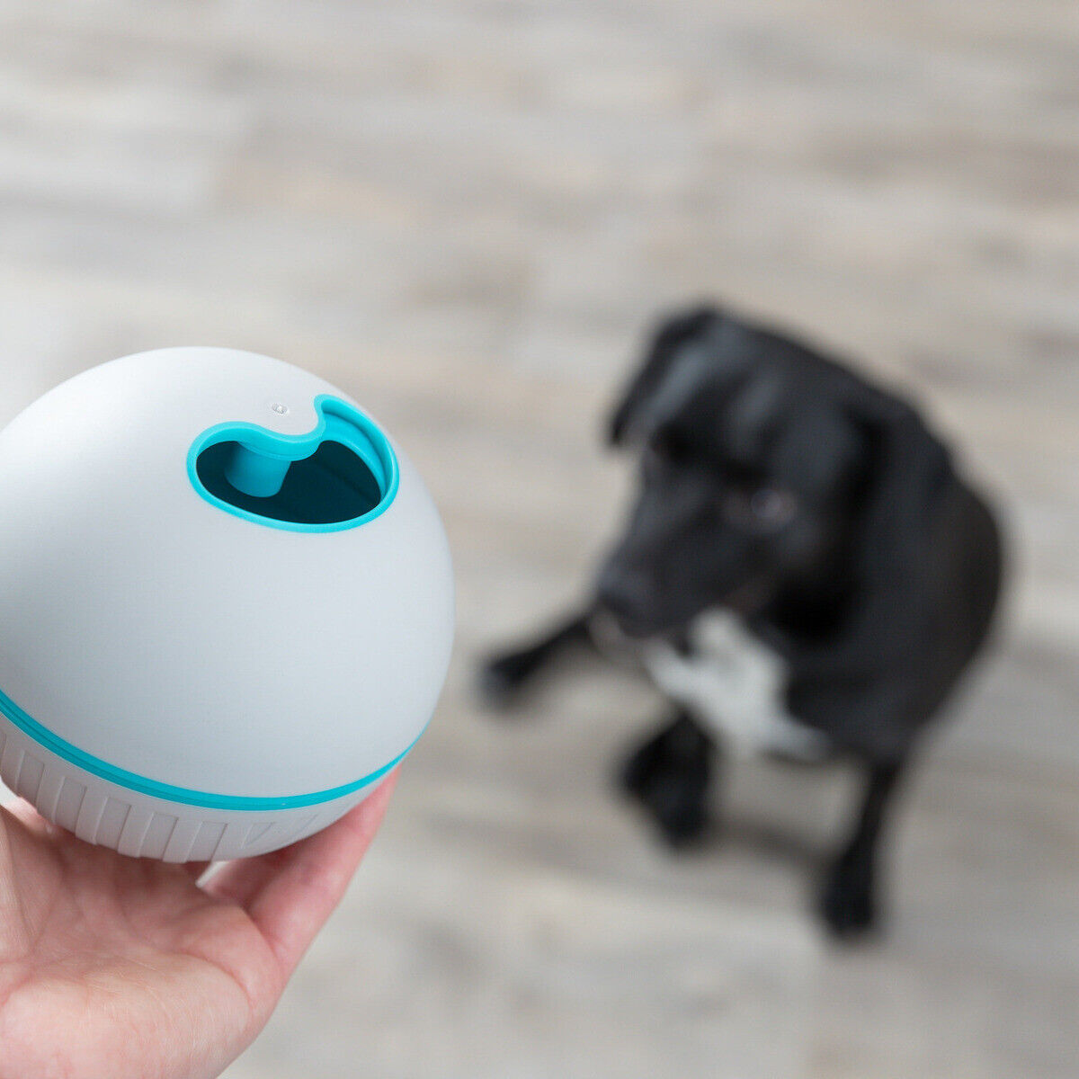 Trixie Hundespielzeug Snackball grau  11 cm Hund Dog Lekerlie spender