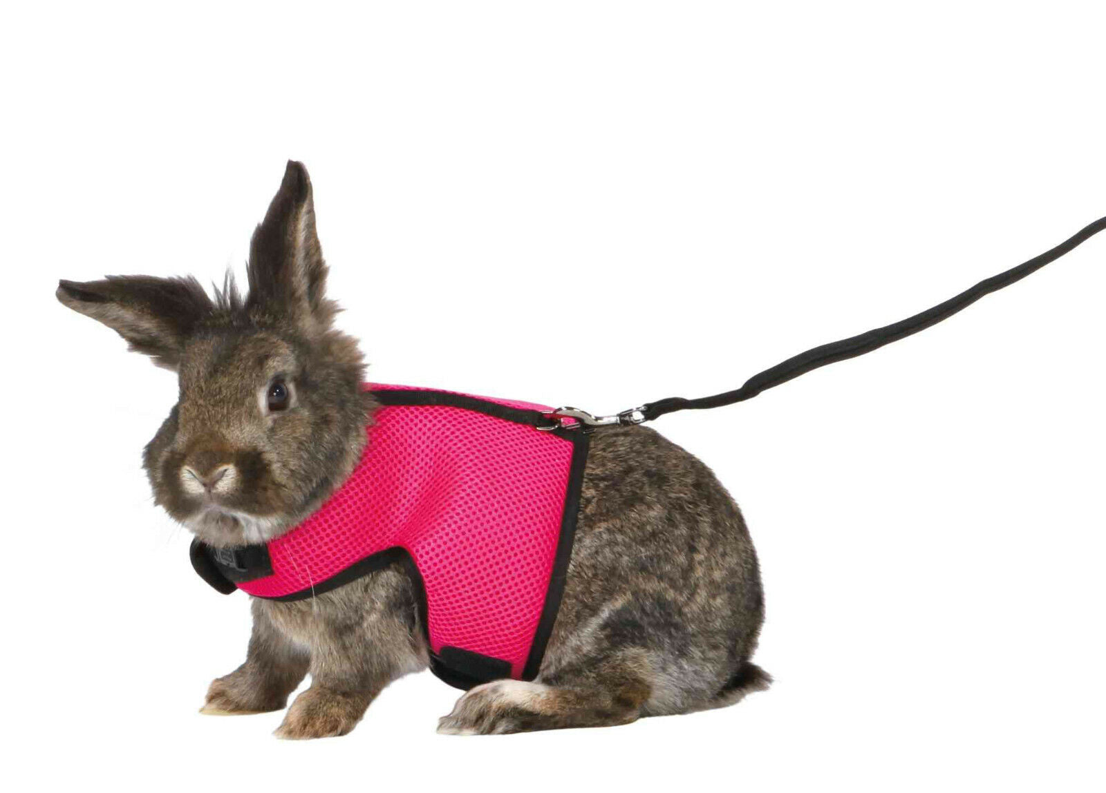 Softgeschirr mit Leine Kaninchen Nagetiere Meerschweinchen Ratte Nager Geschirr