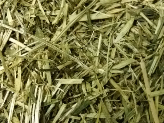 Grüner Hafer 500g Nager Kaninchen Nagetiere Kleintiere Nagerfutter getreidefrei