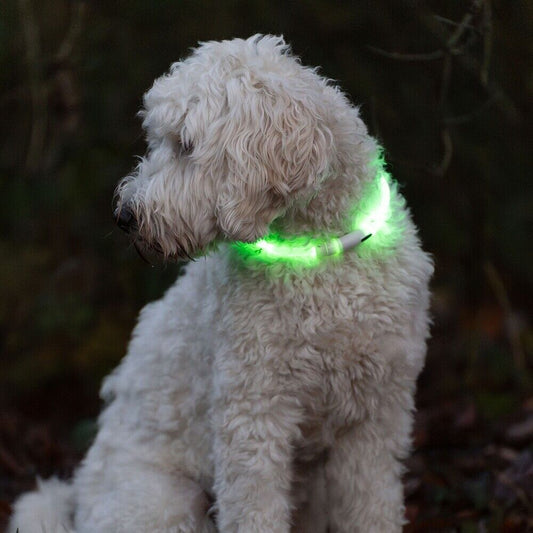 Nobby LED Leuchthalsband VISIBLE  S/M/L  Silikon Leuchtband Hund zuschneidbar