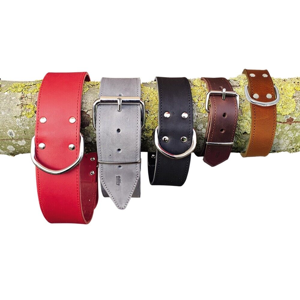 Nobby Halsband TABIL extra breit leder L L-XL XL XL-XXL Div. Farben