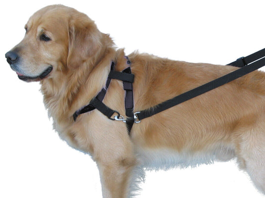 Nobby  TOP WALK Geschirr schwarz Gr. S; Hals: 46 cm; Brust: 50/62 cm
