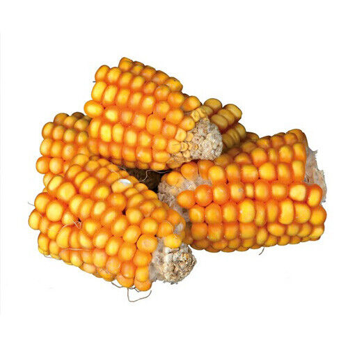 Trixie Natur-Snack Maiskolbenstücke 300 g Nagersnack Kaninchen, Kleinnager